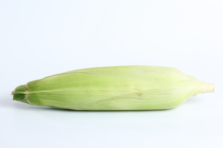 Close up corn on  the white backgroundの写真素材