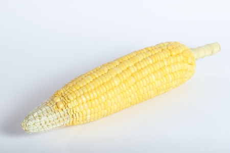 Close up corn on  the white backgroundの写真素材