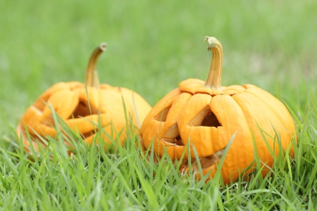 pumpkin on the Halloween dayの写真素材