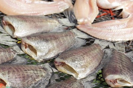 Snakeskin gourami fish drying in the outside in Thailand Gardenの写真素材