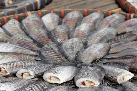 Snakeskin gourami fish drying in the outside in Thailand Gardenの写真素材