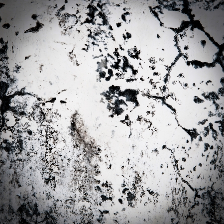 Old wall vintage style in Thailand Gardenの写真素材