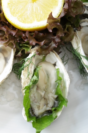 Close up Fresh Oyster with yellow lemonの写真素材