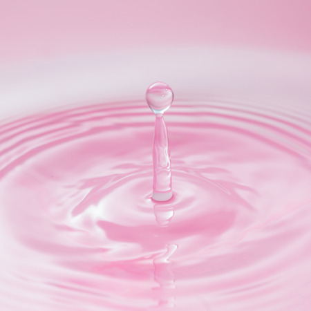 Macro fresh water drop from natural lifeの写真素材