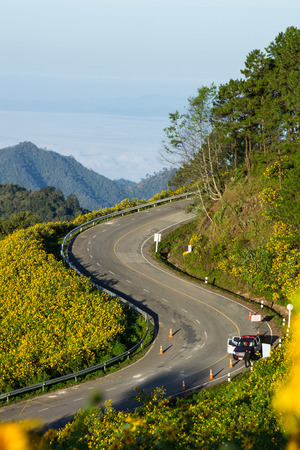 Close up Winding road in Thailand National parkの写真素材