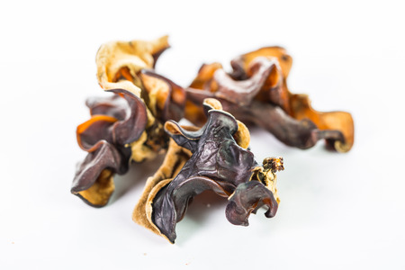 Dried  mushrooms heap isolated with white backgroundの写真素材