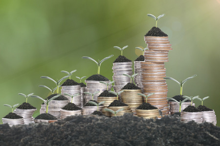 Growing plant step with coin money