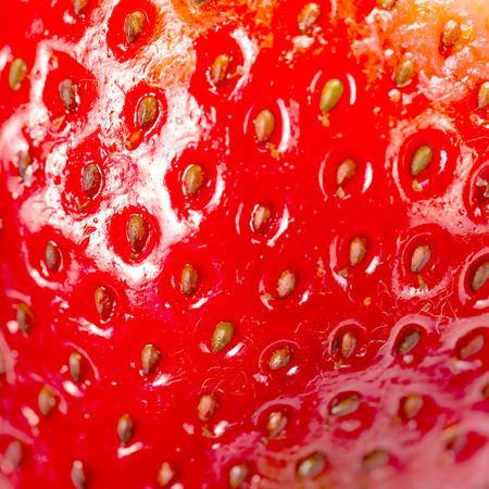Strawberries berry isolated with white backgroundの写真素材