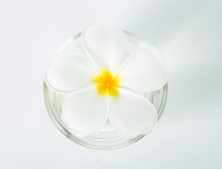 Frangipani flower isolated with white backgroundの写真素材
