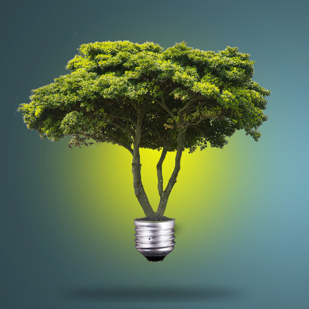 Idea Plant light bulb green enegy in the futureの写真素材