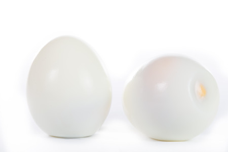 eggの写真素材