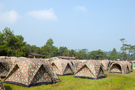 Tent in Phukradueng National Park ,Thailand National parkの写真素材