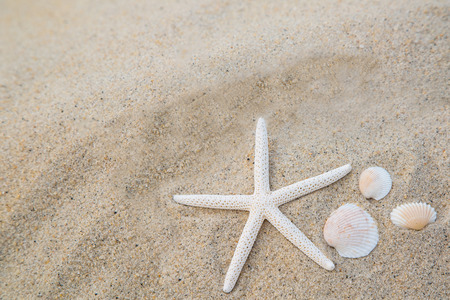 Summer 2015 with Star fish for your holiday activityの写真素材