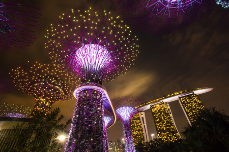 MARINA BAY ,SINGAPORE, MARCH 16, 2015: Big Tree light show night time for people watch the show in...