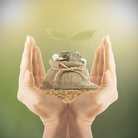 Growing plant step with coin moneyの写真素材