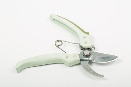 Close up closed secateurs for use in the garden with white 