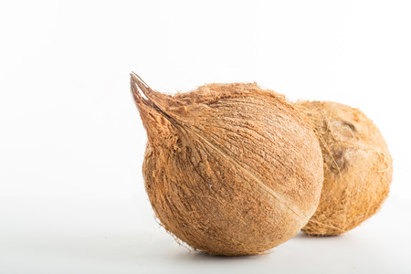 Coconut isolated tropical with white background.の写真素材