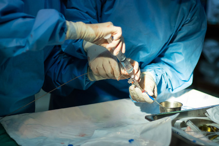 Dotor prepare equipment for percutaneous tranluminal coronary angioplasty to operate patient  who is heart disease .の写真素材