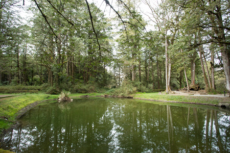 Two Sistes Pond history of love in Alishan nation scenic in Chiayi ,Taiwan.のeditorial素材