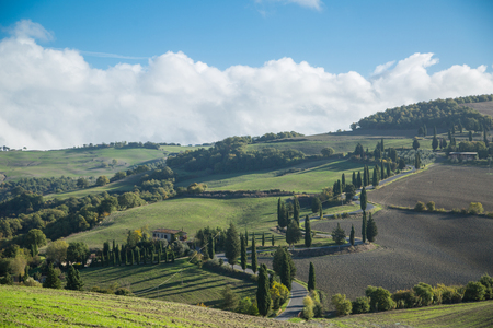 SIENA,ITALY-OCTOBER 20, 2016:Tuscany landscape S cruve road in country side ,italy.Wonderful field nature view in Italy.のeditorial素材
