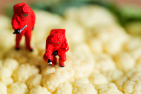 Protective suit science  people inspecting food and fruit with food danger concept.の写真素材