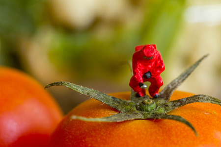 Protective suit science  people inspecting food and fruit with food danger concept.の写真素材