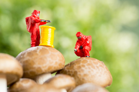 Protective suit science  people inspecting food and fruit with food danger concept.