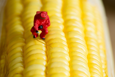 Protective suit science  people inspecting food and fruit with food danger concept.の写真素材