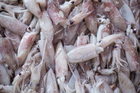 Whiteraw squid seafood in fresh market.の写真素材