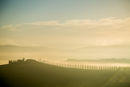 TUSCANY ,ITALY: Field tuscany Italy view landscape of agriculture in the morning.の写真素材