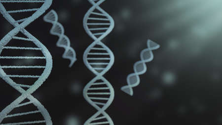 3D rendering DNA structure of human for clone life bio technology gene. Close up molecular of human life of biochemistry concept.の写真素材