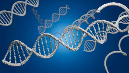 3D rendering DNA structure of human for clone life bio technology gene. Close up molecular of human life of biochemistry concept.の写真素材