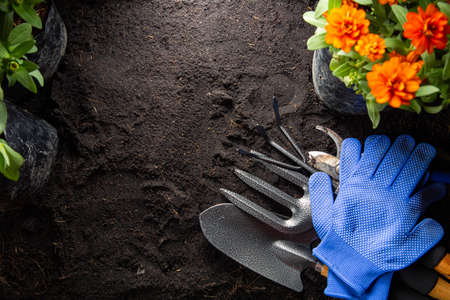 Gardening tools for beginning your small garden plant.Equipment agriculture set for decoration and plant. Top view of home gardening hobby for spend your time at home.の写真素材