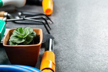 Gardening tools multiple instrument for your garden and flower with banner for your design.Top view space for agriculture tools hooby for stay at home.の写真素材