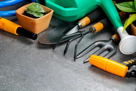 Gardening tools multiple instrument for your garden and flower with banner for your design.Top view space for agriculture tools hooby for stay at home.の写真素材