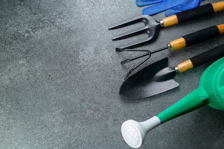 Gardening tools multiple instrument for your garden and flower with banner for your design.Top view space for agriculture tools hooby for stay at home.の写真素材