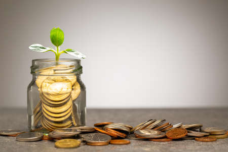 Money growing for investment your finance.Save your budget development.Invention concept.Deposit coin for success your life in the future.Choice for invest your economic wealth.の写真素材