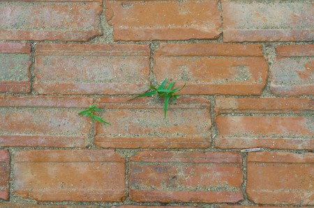 old brick wall backgroundの写真素材