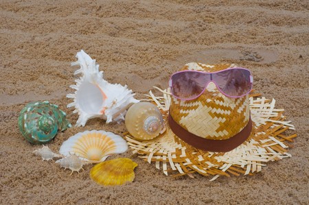 shellfishの写真素材