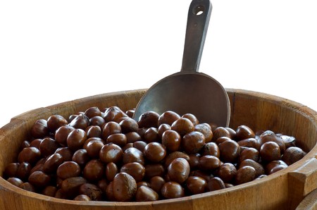 chestnutの写真素材