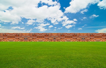 green field under the blue skyの写真素材