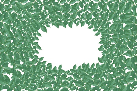 green leaf background