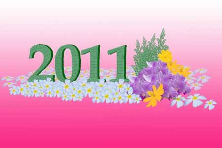 new year 2011 number