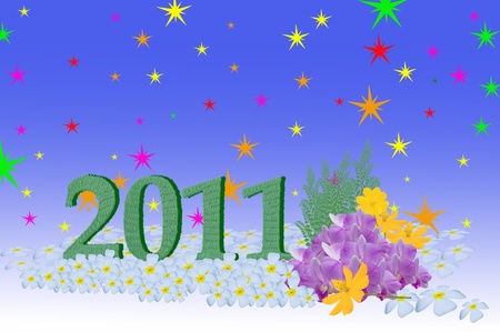 new year 2011 number