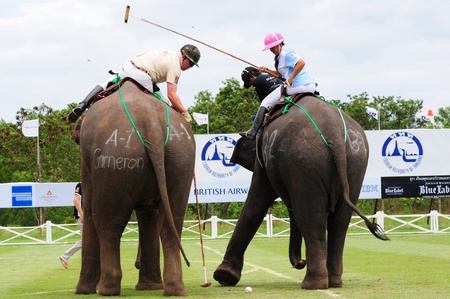 elephant polo games 2011,Hua Hin Thailand のeditorial素材
