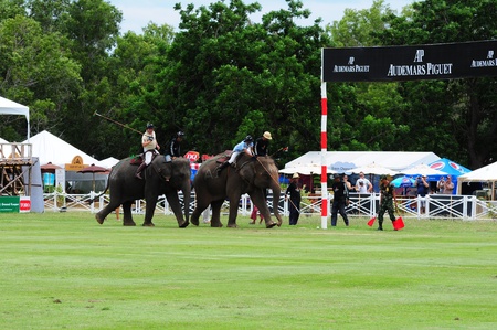 elephant polo games 2011,Hua Hin Thailand のeditorial素材