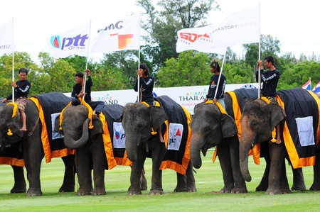 elephant polo games 2011,Hua Hin Thailand のeditorial素材