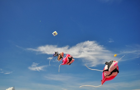 CHA-AM - MARCH 9: Colorful of kites in the 12th Thailand International Kite Festival on March 9, 2012 in Naresuan Camp, Cha-am, Thailand. のeditorial素材
