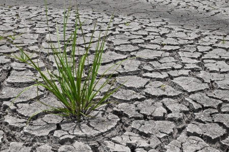 dry earth in the dry season in Thailandの写真素材