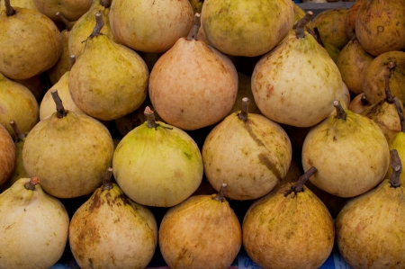 group of Meliaceae , kind of Thai fruitの写真素材